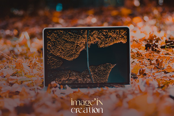 Webdesign professionnel pour renforcer la crédibilité en ligne