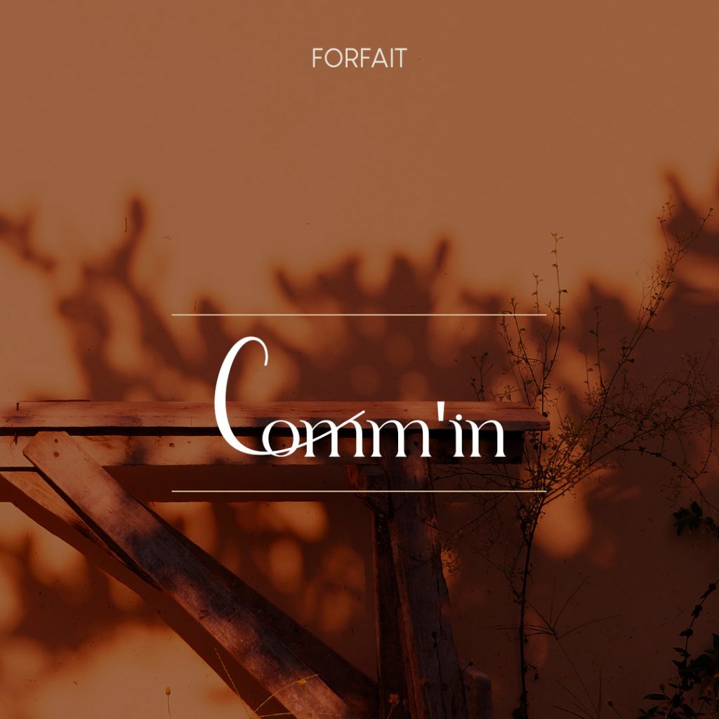 Forfait accompagnement communication Comm'IN