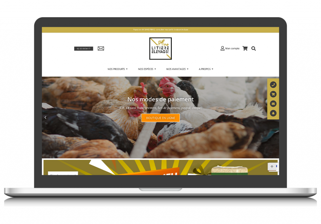Conception site internet WordPress complet avec e-commerce complémentaire